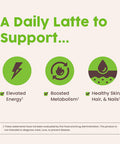 NativePath Collagen Peptides - Hydrolyzed Type 1 & 3 Collagen. Keto & Paleo Grass-Fed Protein Powder for Hair Skin Nails Bones Joints Digestion and More - No Gluten or Dairy (Matcha Latte 230g)