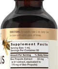 Carlyle Bee Propolis Tincture Drops | 2 Fl Oz | Liquid Extract | Non-GMO Gluten Supplement