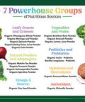 Nature'S Nutrition Greens Superfood Powder - Original Organic Greens Smoothie & Juice Mix Powder Antioxidants & Probiotics Spirulina Chlorella Beet Root Whole Foods Digestive & Energy Health Support - 28 Servings