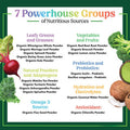 Nature'S Nutrition Greens Superfood Powder - Original Organic Greens Smoothie & Juice Mix Powder Antioxidants & Probiotics Spirulina Chlorella Beet Root Whole Foods Digestive & Energy Health Support - 28 Servings