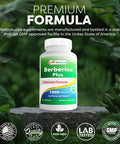 Best Naturals Berberine Plus 1000mg per Serving (Non-GMO) 60 Capsules - Contains Berberine HCL 1000mg Vitamin C 120mg & Zinc Gluconate 30 mg