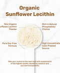 Deal Supplement Organic Sunflower Lecithin Powder 12oz Soy Plant Based Naturally Occurring Phosphatidyl Choline Lactation Supplement for Women Non-GMO