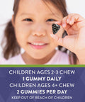 Nature'S Way Sambucus Elderberry Immune Gummies For Kids, Immune Support Gummies*, With Black Elderberry Extract, Vitamin C And Zinc, 60 Gummies (Packaging May Vary)