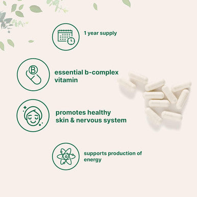 Micro Ingredients Pantothenic Acid Vitamin B5 Supplement Vitamin B5 500mg Per Count 365 Capsules (1 Year Supply) B-Complex Vitamin Support Energy Production and Nervous System Non-GMO