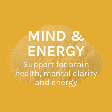Host Defense MycoBotanicals Brain Energy Powder