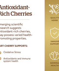 Solgar Tart Cherry 1000 Mg 90 Vegetable Capsules - Antioxidant With Quercetin Chlorogenic Acid & Anthocyanins Compounds - Non Gmo Vegan Gluten Free Dairy Free - 90 Servings