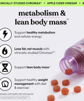 Lemme Tone Metabolism Gummies Apple Cider Vinegar Clinically Studied Chromium B12 Ginger Root Extract Promote Lean Body Mass Watermelon Apple Flavor (30 Day Supply)
