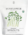 Organic Sunflower Sprout Seeds (8 oz) ÃƒÆ’Ã†â€™Ãƒâ€šÃ‚Â¢ÃƒÆ’Ã‚Â¢ÃƒÂ¢Ã¢â€šÂ¬Ã…Â¡Ãƒâ€šÃ‚Â¬ÃƒÆ’Ã‚Â¢ÃƒÂ¢Ã¢â‚¬Å¡Ã‚Â¬Ãƒâ€¦Ã¢â‚¬Å“ Non-GMO, Heirloom Seeds for Sprouting and Microgreens