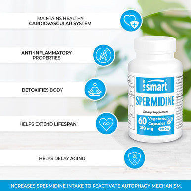 Supersmart Spermidine 300 mg Per Day Anti Aging Supplement Promotes Autophagy 100 Vegan Friendly AdditiveFree NonGMO Gluten Free 60 Vegetarian Capsules