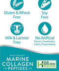 Marine Collagen Powder 20 Oz | Hydrolyzed Collagen Peptides | Unflavored | Keto, Paleo, Non-GMO, Gluten Free Supplement | by Horbaach