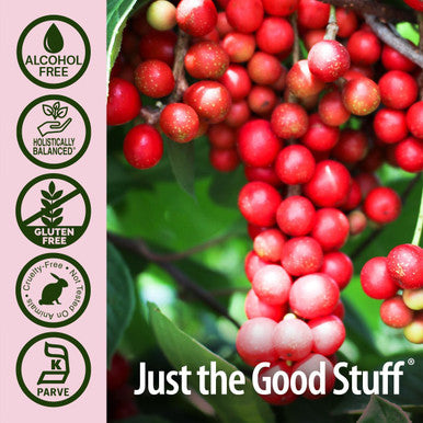 Nature'S Answer Schisandra Berry 1oz Extract | Digestion Function Support | Supports Cognitive Improvement | Natural Stress Reliever | Single Count