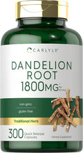 Carlyle Dandelion Root | 1800mg | 300 Capsules | Non-GMO Gluten Supplement