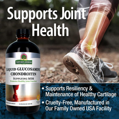 Nature'S Answer Liquid Glucosamine Chondroitin Orange 16 fl oz (480 ml)