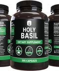 PURE ORIGINAL INGREDIENTS Holy Basil (365 Capsules) No Magnesium Or Rice Fillers, Always Pure, Lab Verified