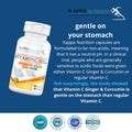 KAPPA NUTRITION Vitamin C 1,000mg, Ginger, Curcumin, Piperine, 4 in 1 Advanced Complex, (120 Capsules) from