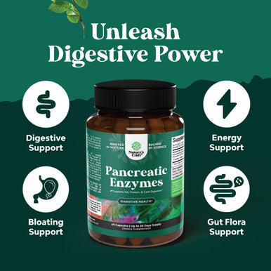 Natures Craft Pancreatin Digestive Enzymes for Digestive Health - Pancreatic Enzymes for Humans with Fat Carb and Protein Digestive Enzymes for Women and Men - Protease Amylase & Lipase Enzymes for Digestion - 60ct