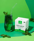 Nature'S Sunshine Chlorophyll Stick Packs (Spearmint)
