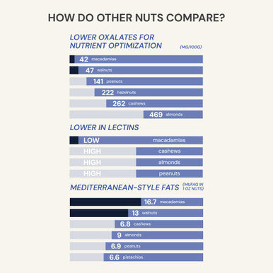 Blueprint Bryan Johnson Blueberry Nut Mix Real Blueberries Roasted Macadamia Nuts and Walnuts No Additives or Added Sugars Keto and Paleo Friendly 170mg Polyphenols 30 Servings