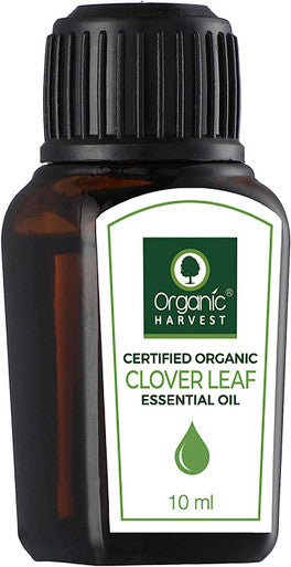 Clover Leaf Essential Oil USDA, OneCert, Certified Organic, 100% Pure, Undiluted, Therapeutic Grade, Excellent for Aromatherapy, 1/3 fl. Oz / 10 ml Organic Harvest