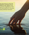Irwin Naturals Double-Potency Fish Oil 2,000Mg Purified Daily Wellness Formula With High Levels Of Omega-3 Efa'S Vitamin D3 Epa & Dha - Natural Non-Fishy Citrus Flavor - 60 Liquid Softgels