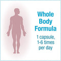 Natural Factors TravelBiotic Supports Colon and Immune Health Shelf Stable Probiotic Supplement 10 Billion CFU Vegan 60 Capsules 60 Servings