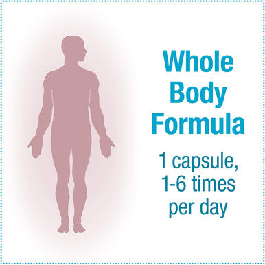 Natural Factors TravelBiotic Supports Colon and Immune Health Shelf Stable Probiotic Supplement 10 Billion CFU Vegan 60 Capsules 60 Servings