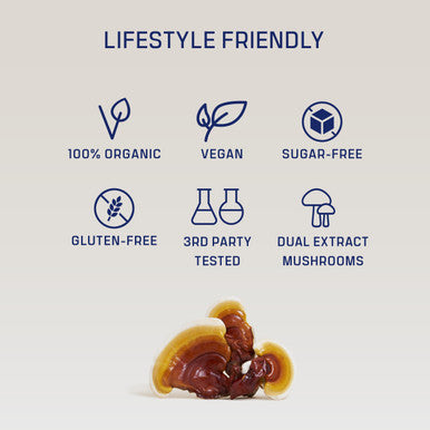 DIRTEA Reishi Mushroom Powder | 2000mg / Serving | Organic Vegan & Non GMO | Sleep Quality Stress & Immunity Support | High Strength Supplement | 60g - 30 Servings