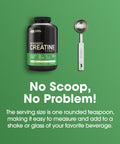 Optimum Nutrition Micronized Creatine Monohydrate Powder Unflavored Keto Friendly 120 Servings (Packaging May Vary)
