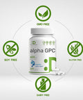 Deal Supplement Alpha GPC 600mg Per Serving 240 Capsules Bioavailable Choline Replenishment Nootropic Brain Health Supplements for Memory and Focus Non-GMO Gluten
