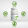 Deal Supplement Alpha GPC 600mg Per Serving 240 Capsules Bioavailable Choline Replenishment Nootropic Brain Health Supplements for Memory and Focus Non-GMO Gluten