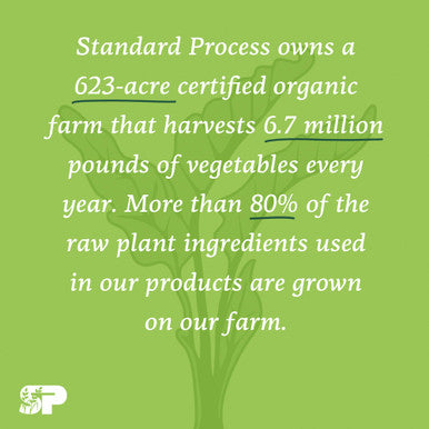 Standard Process Standardbar Gluten Free Protein Bar