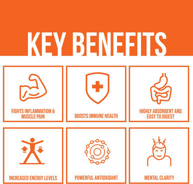 Immunity Fizz Wellness Booster by GoBiotix Immune Defense Powder Vegan Superfood Elderberry Turmeric Vitamin C B12 Supplement NonGMO Gluten Soy Sugar Free Immunity Support Orange