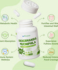 Akkermansia Muciniphila Probiotic For Gut Management - Glp-1 Boosting Supplement With Chicory Inulin, Turmeric, Resistant Starch, Vegan & Gluten - 30 Day Supply