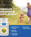 Sunergetic Premium Berberine Supplement - 1200mg of Berberine Per Serving - Berberine HCL Supplement Non-GMO - Immune Support- 60 Berberine Capsules