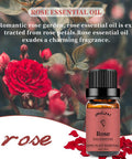 Yethious 2 Pack Rose Jasmine Essential Oil Set 100% Pure Natural Aromatherapy Massage Oils for Diffuser, Humidifier