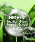 AFC Japan Brazilian Green Propolis Extract with Honey Spray 1.18 Fl Oz