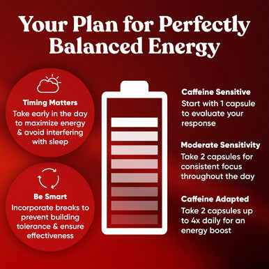 Eu Natural Elite Caffeine Pills with L-Theanine Jitter- Focused Energy Supplements Clean & Natural Nootropic Stack for Smart Cognitive Performance 120 Soft Capsules