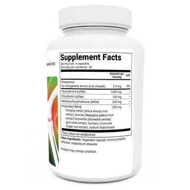 Dr. Berg Glucosamine Chondroitin MSM Turmeric & Boswellia - Advanced Joint Support Supplement with Glucosamine Sulfate 1500mg - 120 Capsules