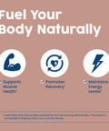NativePath Complete Beef Protein Powder Isolate ÃƒÂ¢Ã¢â€šÂ¬Ã¢â‚¬Å“ Grass-Fed Pasture-Raised Dairy & Lactose Free Gluten Free Zero Sugar MCTs & Amino Acids ÃƒÂ¢Ã¢â€šÂ¬Ã¢â‚¬Å“ 20g Protein Chocolate Flavor 30 Servings