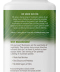Om Reishi Mushroom 667mg 75 count