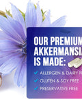 Akkermansia Probiotic With Prebiotic Fiber - Akkermansia Muciniphila Glp-1 Probiotics For Women & Men - Digestive, Gut, Overall Health & Immune Support, Third-Party Tested, Gluten-- 120 Capsules