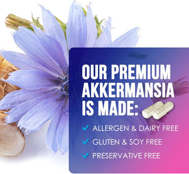 Akkermansia Probiotic With Prebiotic Fiber - Akkermansia Muciniphila Glp-1 Probiotics For Women & Men - Digestive, Gut, Overall Health & Immune Support, Third-Party Tested, Gluten-- 120 Capsules