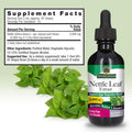 Nature'S Answer Nettle Leaf with Organic Alcohol 2-Fluid Ounces | Herbal Supplement | Promotes Immune Heath | Non-GMO Kosher Gluten-