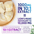 Nature'S Nutrition Nature's Mushroom Lion's Mane - Nootropic Brain Health Support Supplement - Lionsmane Mushrooms for Focus Memory & Immune Support - Lions Mane Mushroom Extract is Non-GMO & Vegetarian - 120 Capsules