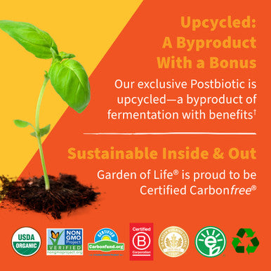 Garden of Life Dr Formulated Probiotics 30 Billion Cfu Pre + Pro + Postbiotics For Men And Women Digestive And Immune Support Potato Acacia Postbiotic Metabolites 30 Mini Vegetarian Capsules
