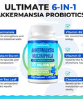 Akkermansia Probiotic, Akkermansia Muciniphila, Glp-1, Live Strain Probiotics For Women & Men, Glp-1 Supplement For Gut Health, Digestive, Metabolic, Immune, With Chromium, Green Tea Leaf, 60 Capsule