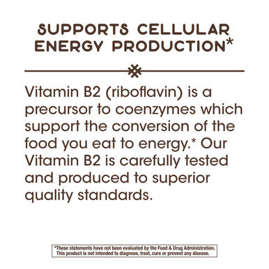 Nature's Way Vitamin B2, 100 mg per serving, 100 Capsules