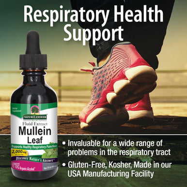 Nature'S Answer Natures Answer Mullein Leaf Low Alcohol 2000mg 2 oz Extract | Supports Respiratory Wellness | Gluten- Vegan Non-GMO No Artificial Flavors or Preservatives | Single Count