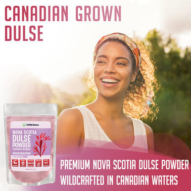 Xprs Nutra Dulse Powder (Palmaria Palmata) - Canadian Wildcrafted Nova Scotia Dulse Powder for Thyroid and Bones - Vegan Friendly Atlantic Dulse Powder (8 Ounce)