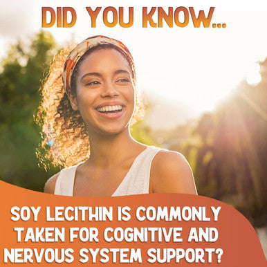 Xprs Nutra Soy Lecithin Granules Non GMO - Lecitina de SOYA - 100% Pure Soy Lethicin Granules - Premium SOYA Lethicin Granules - Food Grade Fat Emulsifier Suitable for Baking (8 Ounce)